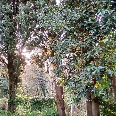 別荘 Il Carnasciale Pieve Di - Stalla